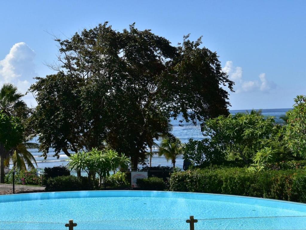 Studio Village Vacances,Vue Mer, Plage A 30M ,Wifi A Sainte Anne Luaran gambar
