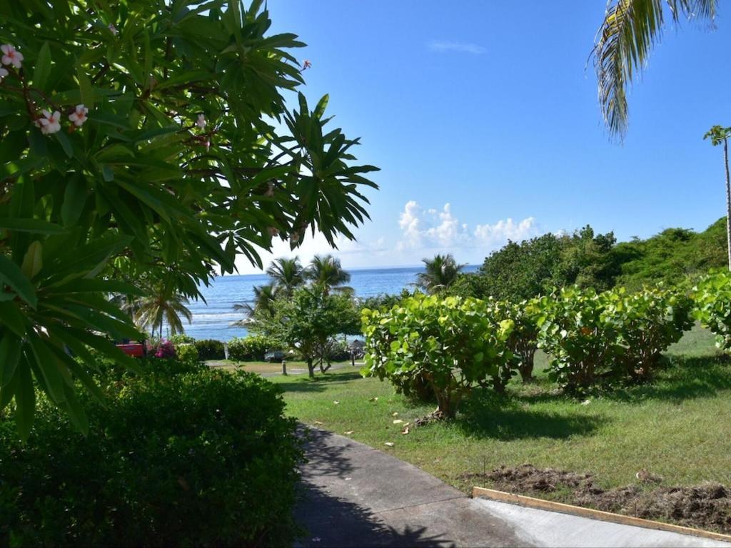 Studio Village Vacances,Vue Mer, Plage A 30M ,Wifi A Sainte Anne Luaran gambar