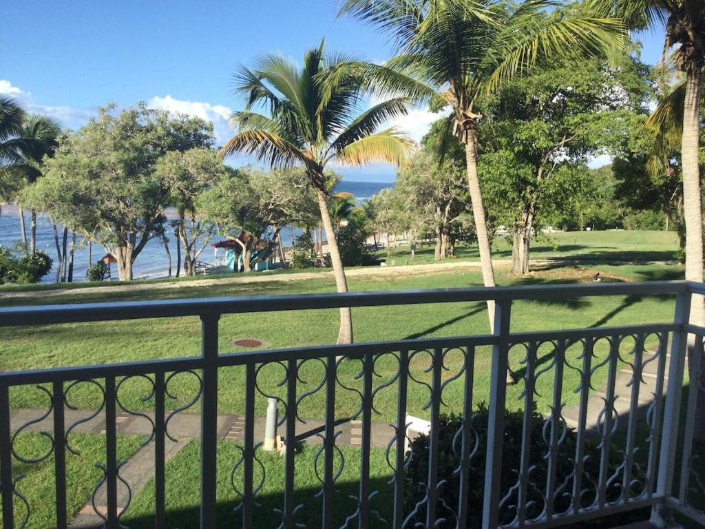 Studio Village Vacances,Vue Mer, Plage A 30M ,Wifi A Sainte Anne Luaran gambar